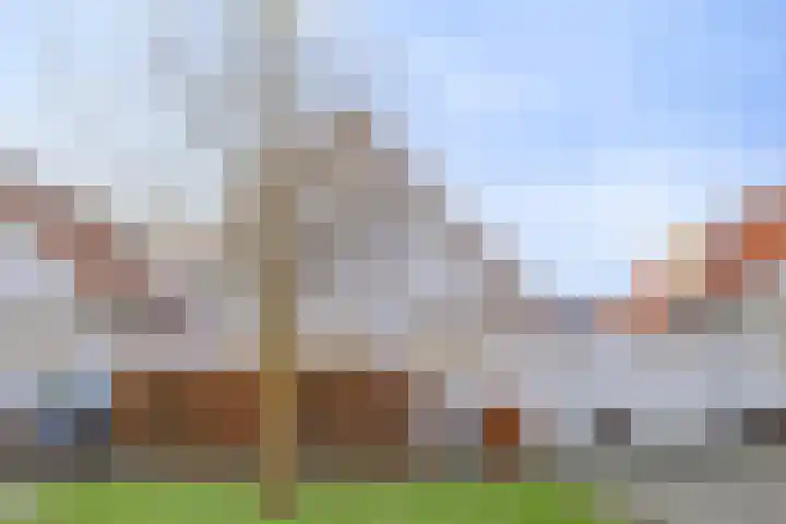 Dominee Van Ingenstraat 10 Hedel thumbnail 33