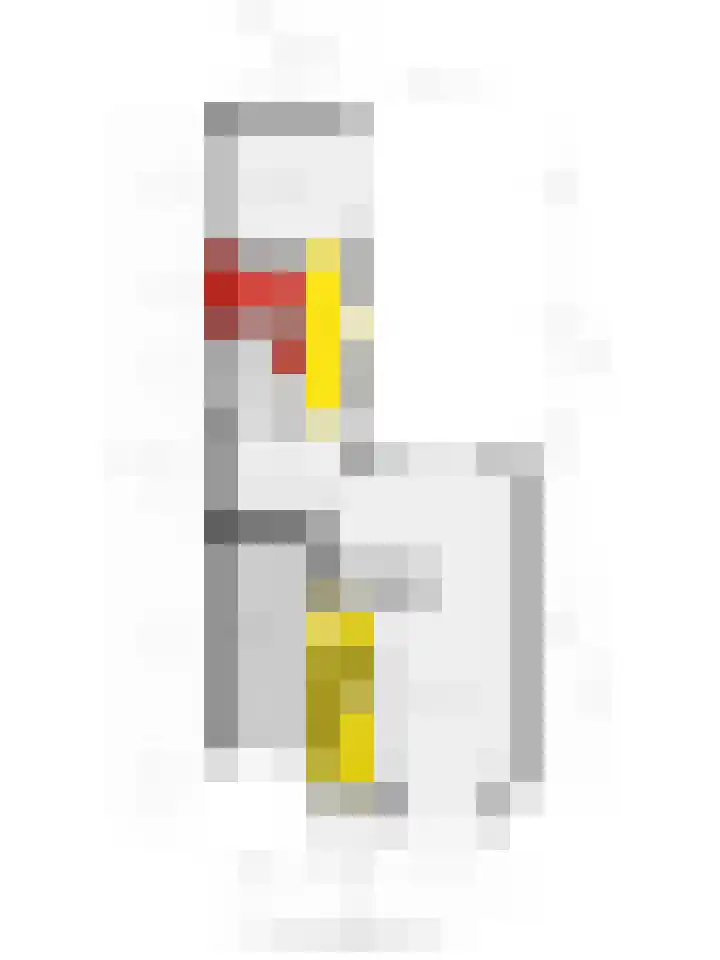 Dominee Van Ingenstraat 10 Hedel thumbnail 36
