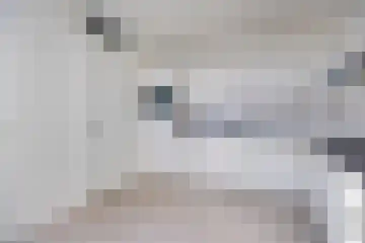 Dominee Van Ingenstraat 10 Hedel thumbnail 9