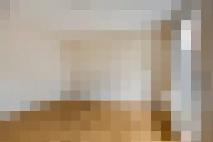 Dominee Van Ingenstraat 8 Hedel thumbnail 11