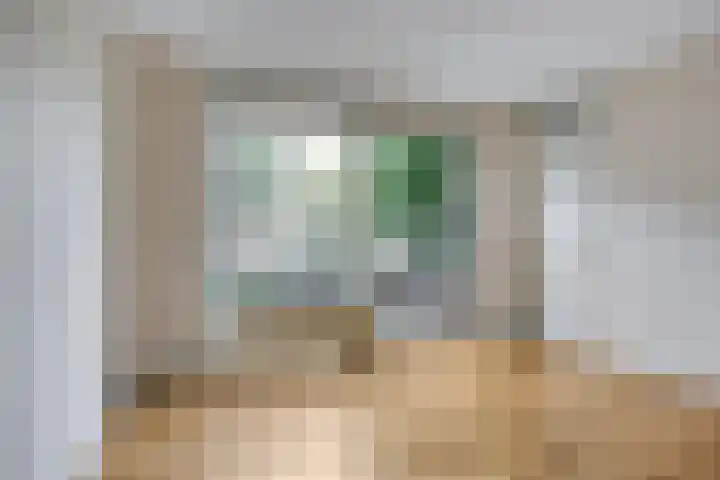Dominee Van Ingenstraat 8 Hedel thumbnail 12