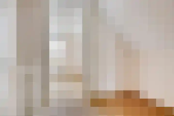 Dominee Van Ingenstraat 8 Hedel thumbnail 20
