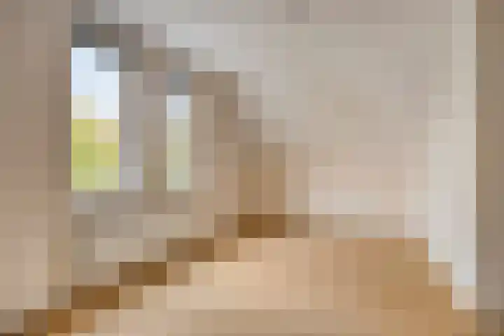 Dominee Van Ingenstraat 8 Hedel thumbnail 21