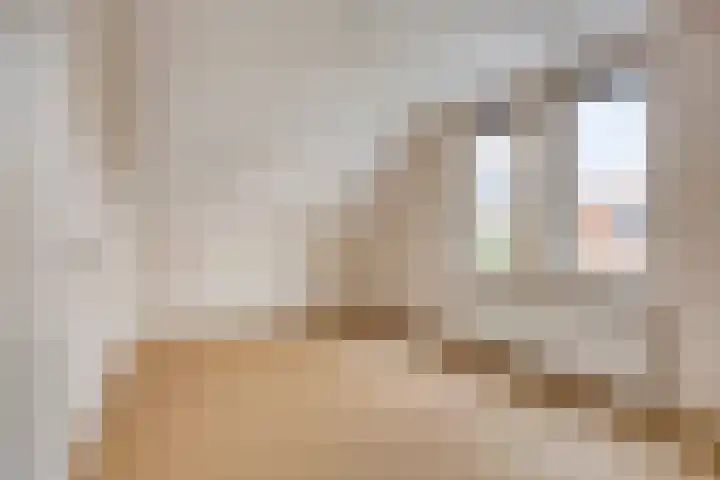 Dominee Van Ingenstraat 8 Hedel thumbnail 23