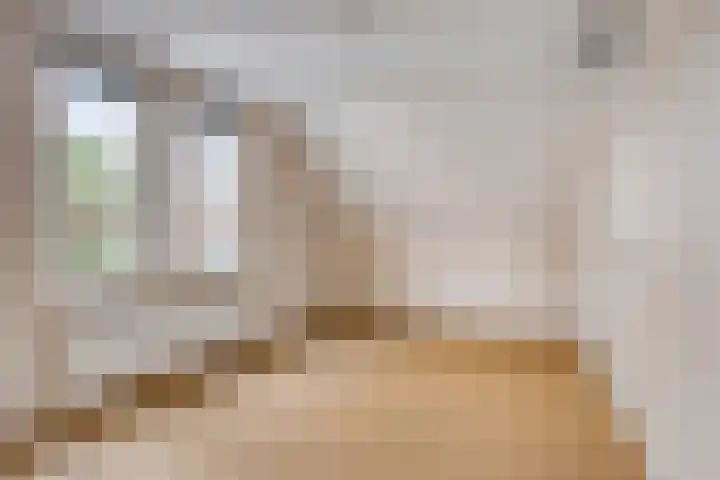 Dominee Van Ingenstraat 8 Hedel thumbnail 24