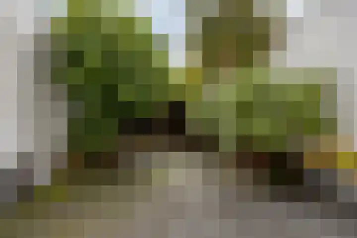 Dominee Van Ingenstraat 8 Hedel thumbnail 26