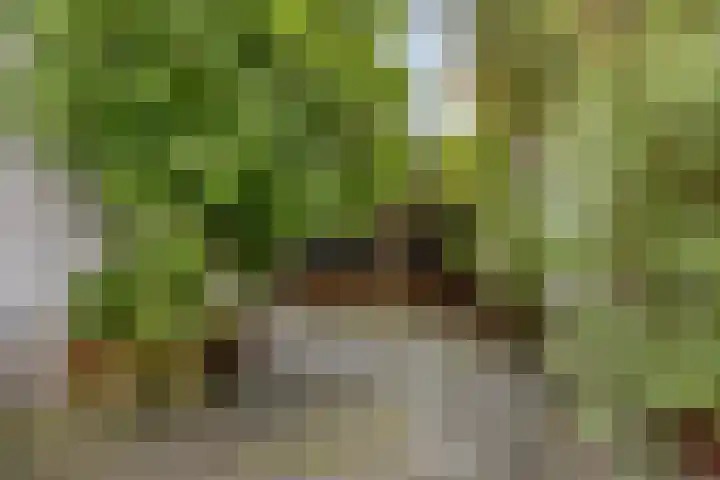 Dominee Van Ingenstraat 8 Hedel thumbnail 27