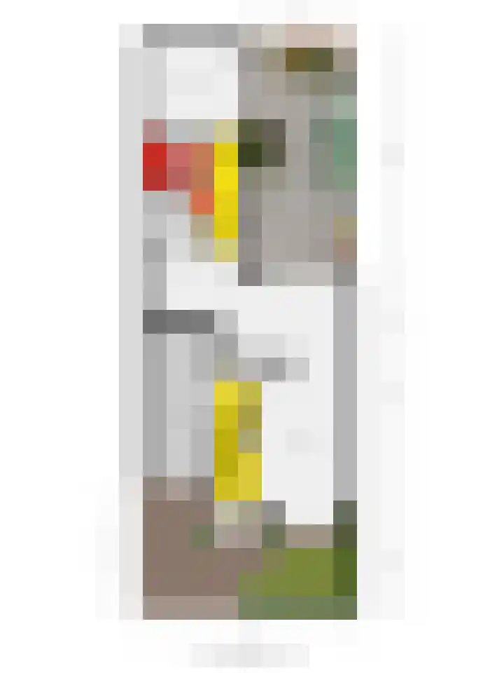 Dominee Van Ingenstraat 8 Hedel thumbnail 34