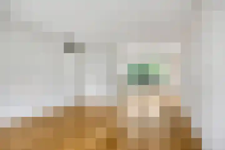 Dominee Van Ingenstraat 8 Hedel thumbnail 5