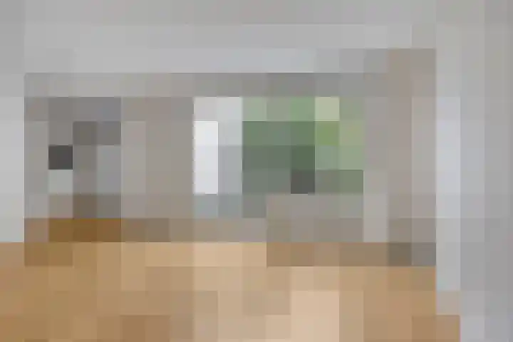 Dominee Van Ingenstraat 8 Hedel thumbnail 6