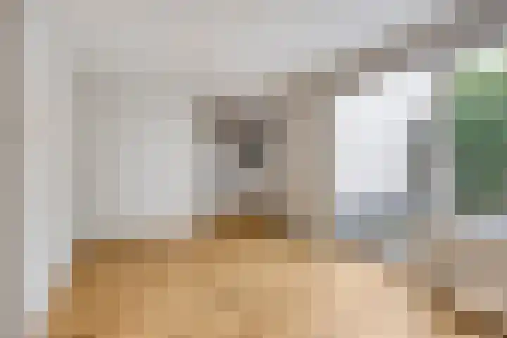 Dominee Van Ingenstraat 8 Hedel thumbnail 7