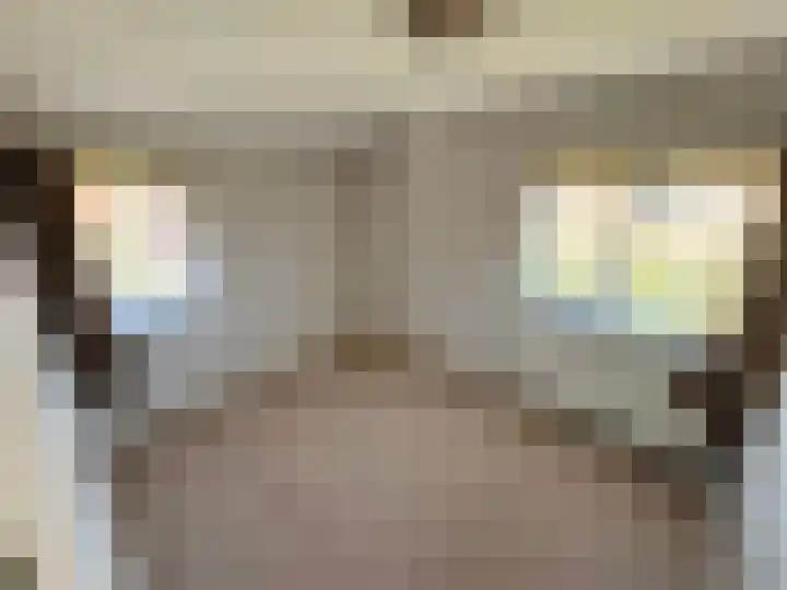 Dominee van Meursstraat 9 Wapenveld thumbnail 10