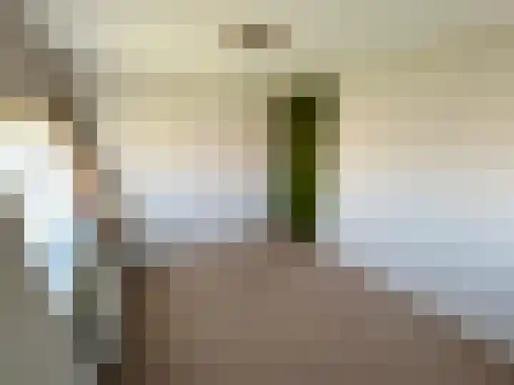 Dominee van Meursstraat 9 Wapenveld thumbnail 11