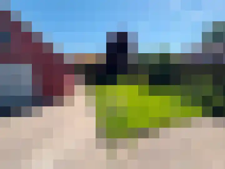 Dominee van Meursstraat 9 Wapenveld thumbnail 13