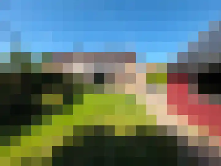 Dominee van Meursstraat 9 Wapenveld thumbnail 15