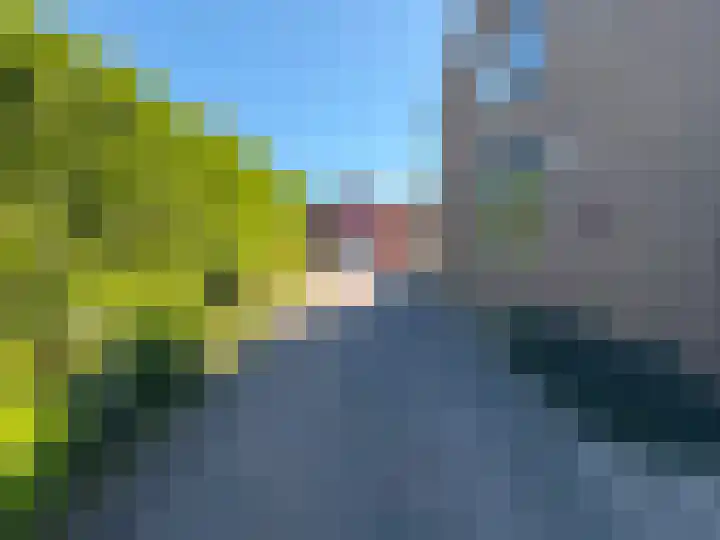 Dominee van Meursstraat 9 Wapenveld thumbnail 16