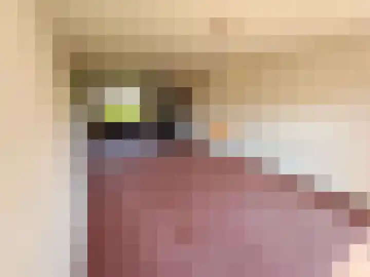 Dominee van Meursstraat 9 Wapenveld thumbnail 4