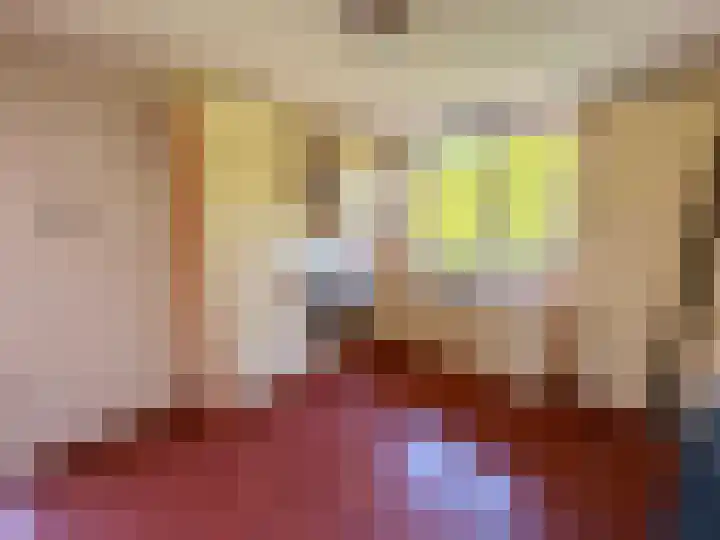 Dominee van Meursstraat 9 Wapenveld thumbnail 5