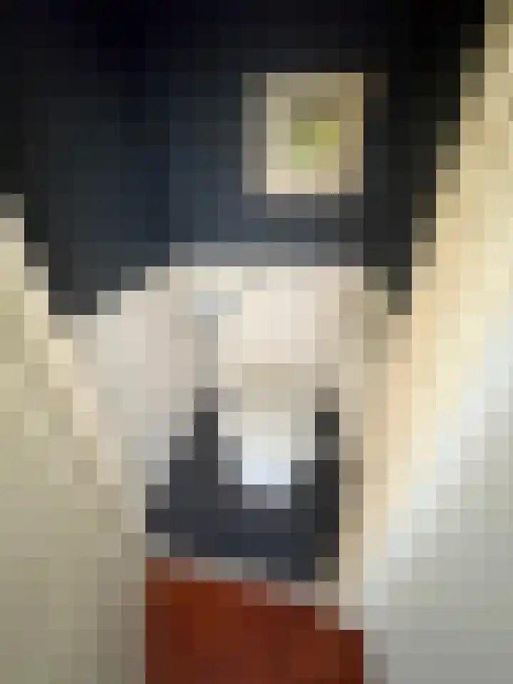 Dominee van Meursstraat 9 Wapenveld thumbnail 7