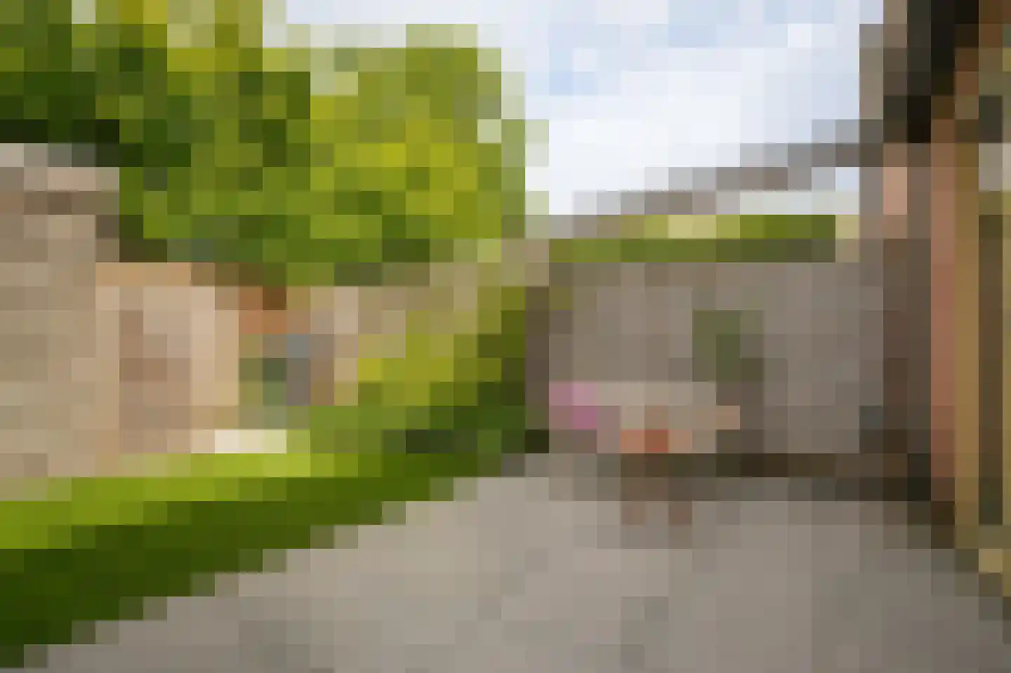 Dominee Versteegtstraat 12 Loosdrecht thumbnail 23