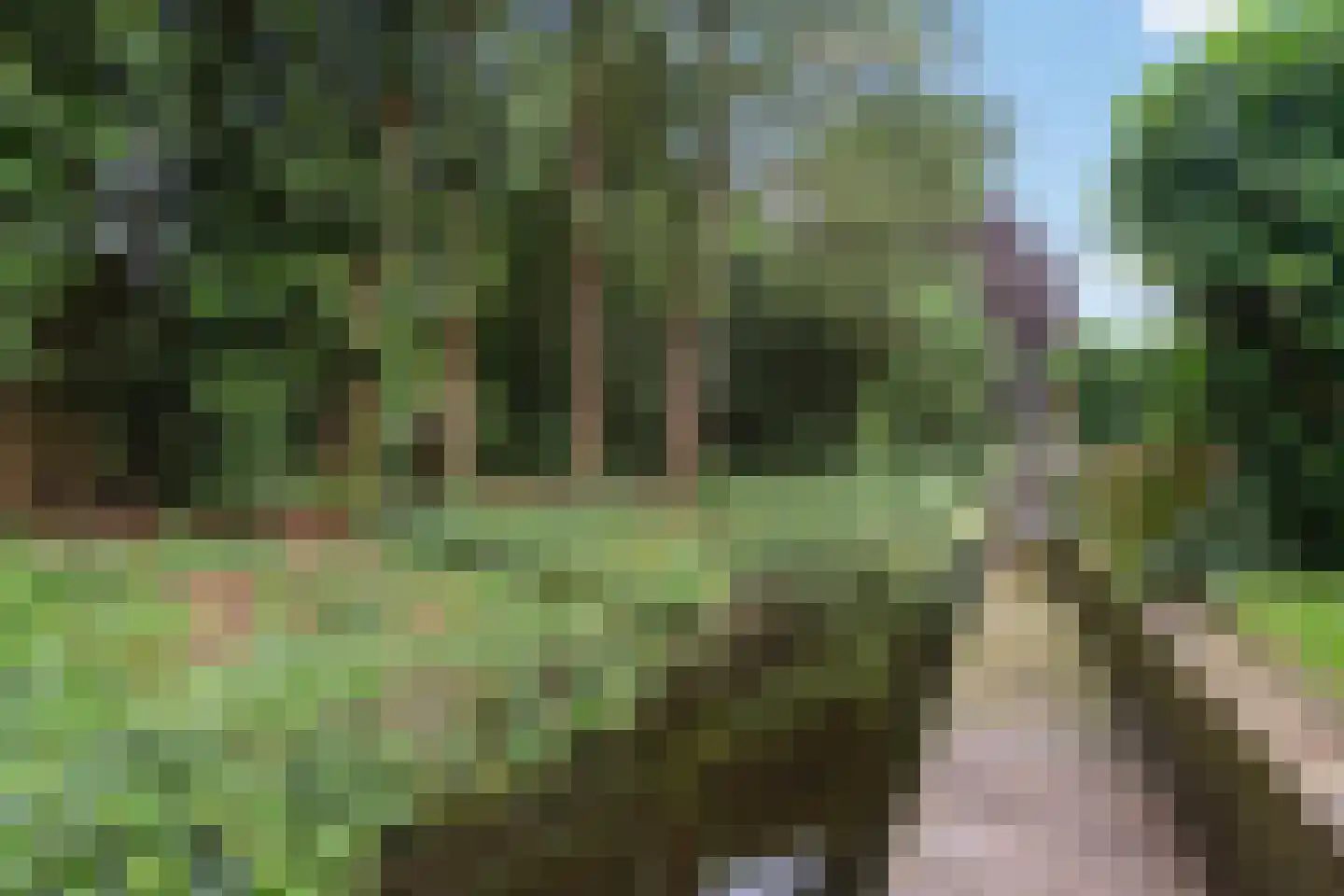 Dominee Versteegtstraat 3 Loosdrecht thumbnail 4