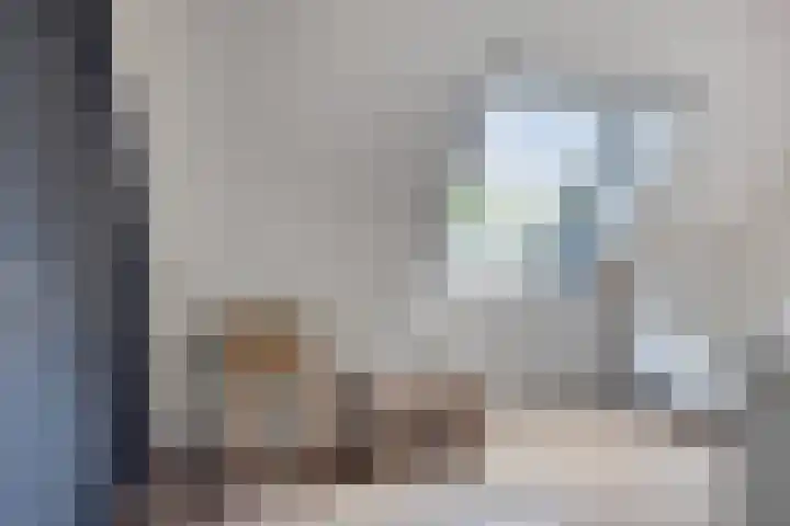 Domineesakker 14 Ochten thumbnail 12