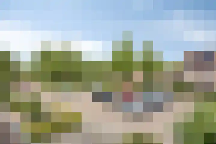 Domineesakker 14 Ochten thumbnail 15