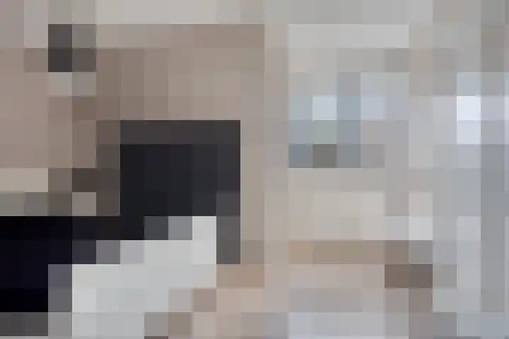 Domineesakker 14 Ochten thumbnail 16