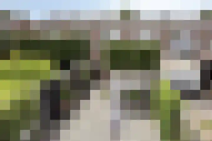 Domineesakker 14 Ochten thumbnail 17