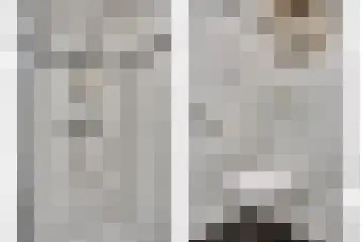 Domineesakker 14 Ochten thumbnail 20