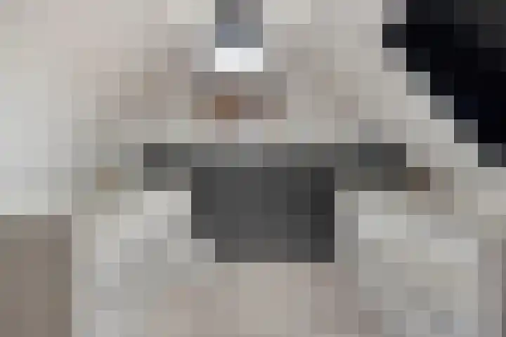 Domineesakker 14 Ochten thumbnail 23