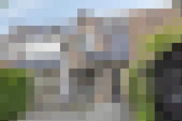 Domineesakker 14 Ochten thumbnail 25