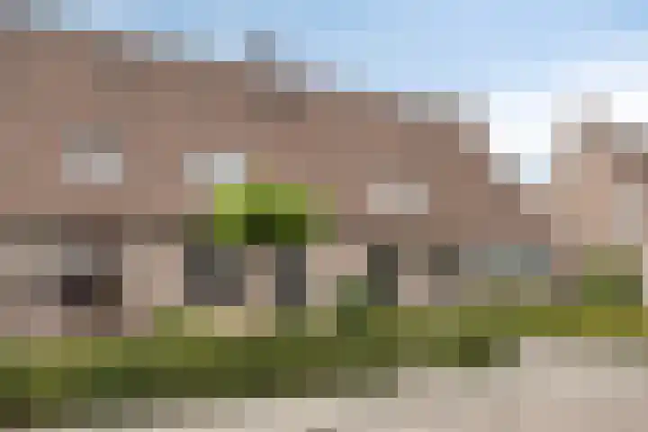Domineesakker 14 Ochten thumbnail 28