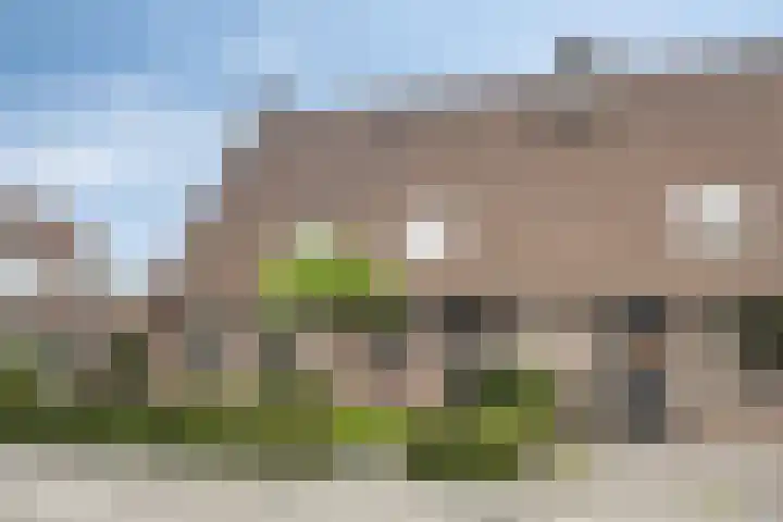 Domineesakker 14 Ochten thumbnail 29