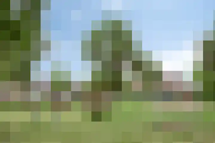 Domineesakker 14 Ochten thumbnail 30