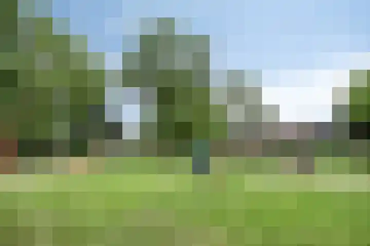 Domineesakker 14 Ochten thumbnail 31
