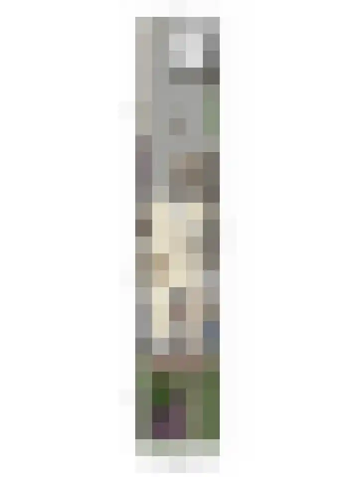 Domineesakker 14 Ochten thumbnail 33