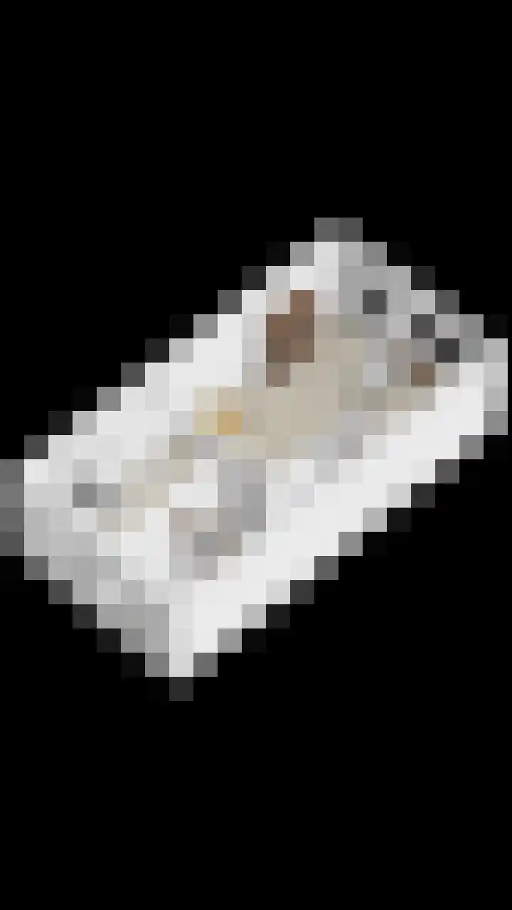 Domineesakker 14 Ochten thumbnail 34