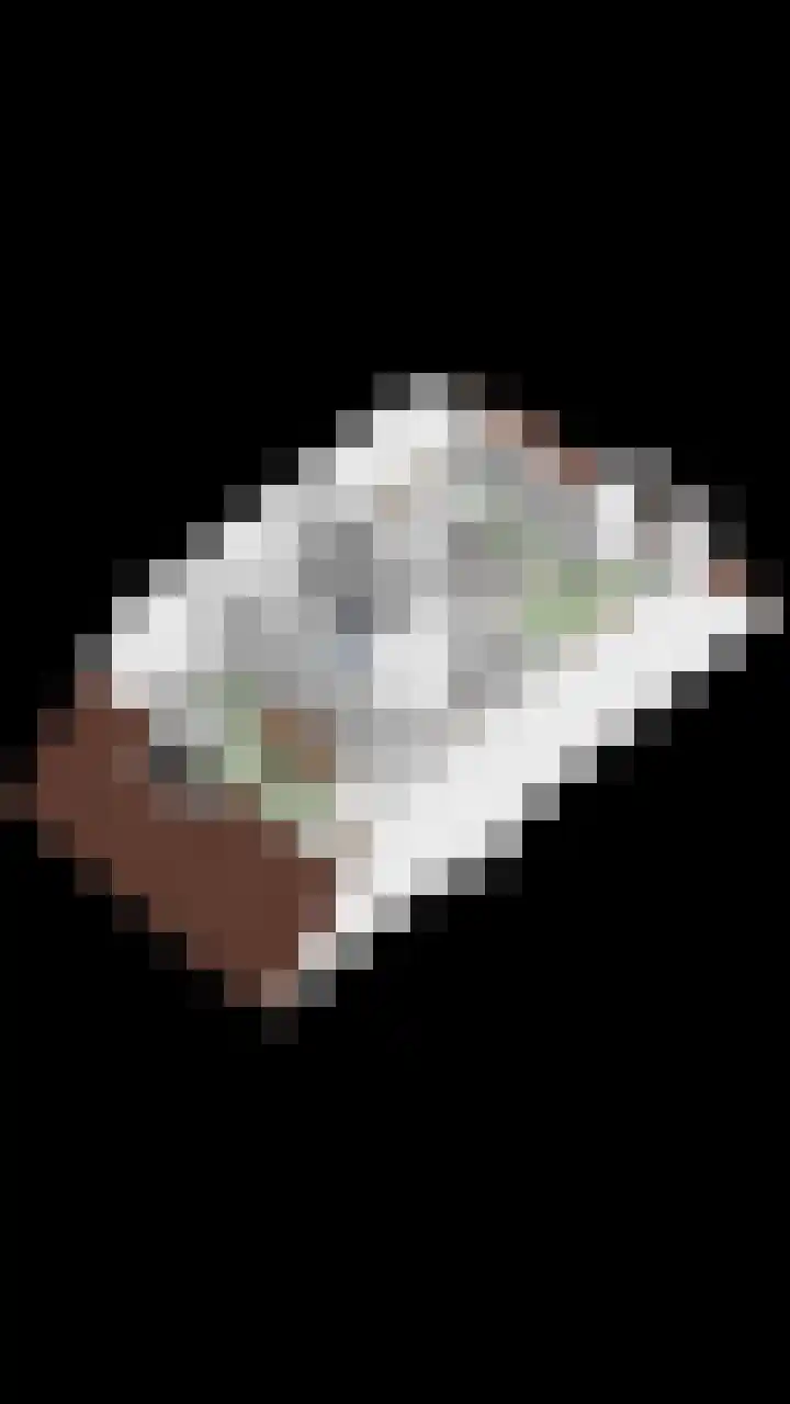 Domineesakker 14 Ochten thumbnail 36