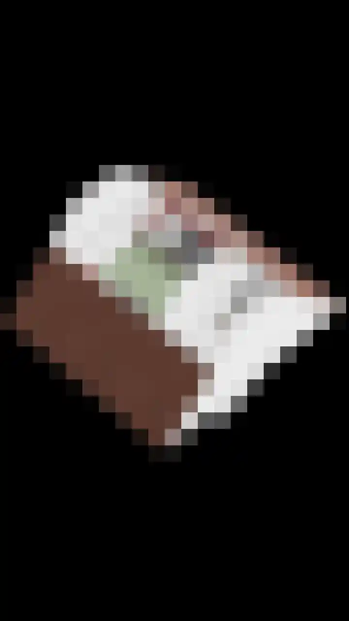 Domineesakker 14 Ochten thumbnail 38