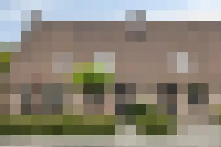 Domineesakker 14 Ochten thumbnail 42