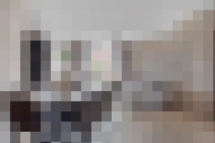 Domineesakker 14 Ochten thumbnail 5