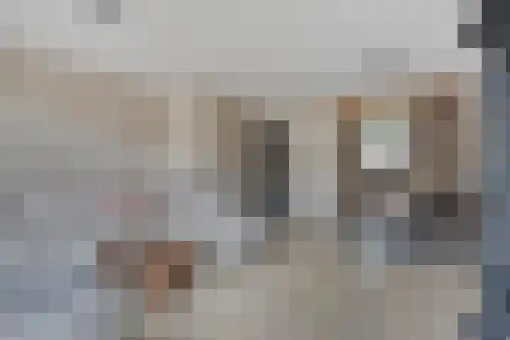 Domineesakker 14 Ochten thumbnail 6
