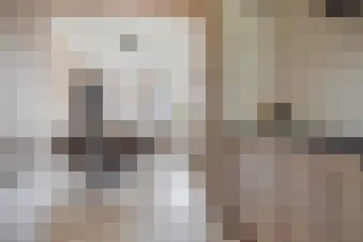 Domineesakker 14 Ochten thumbnail 9