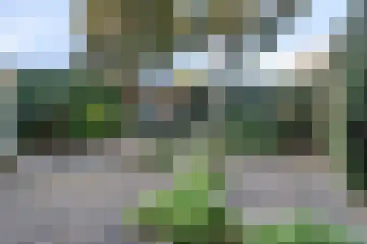 Domineesbergweg 117 Rhenen thumbnail 4