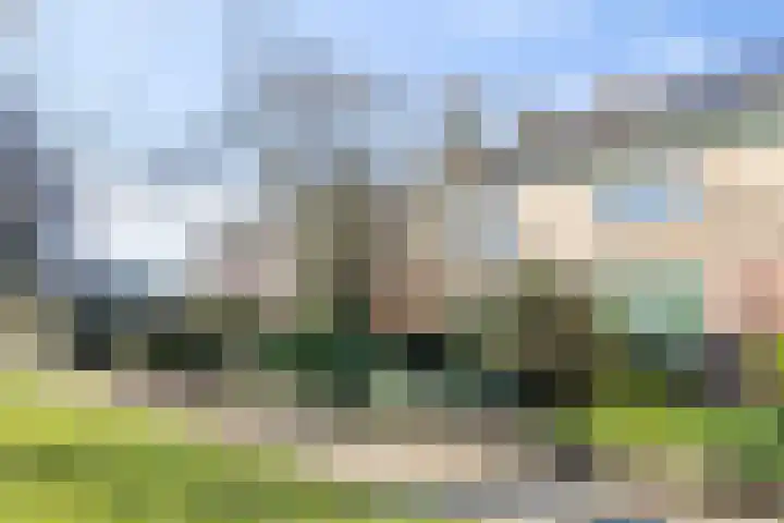 Domineesbergweg 117 Rhenen thumbnail 43