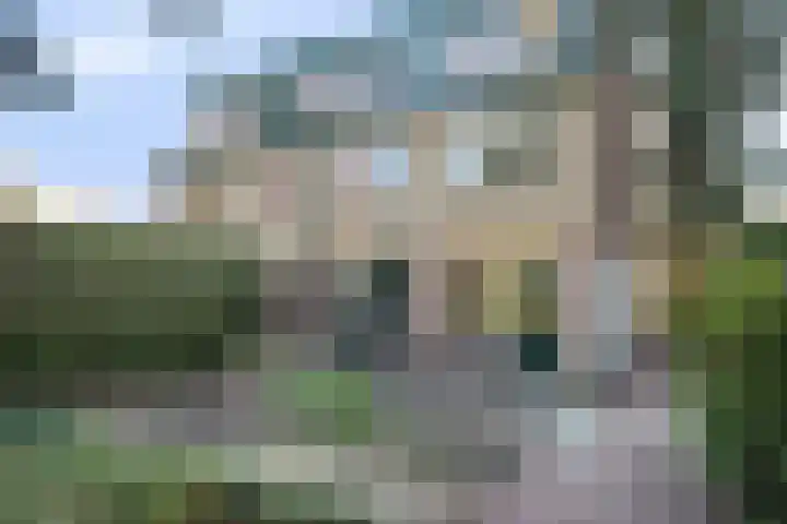 Domineesbergweg 117 Rhenen thumbnail 5