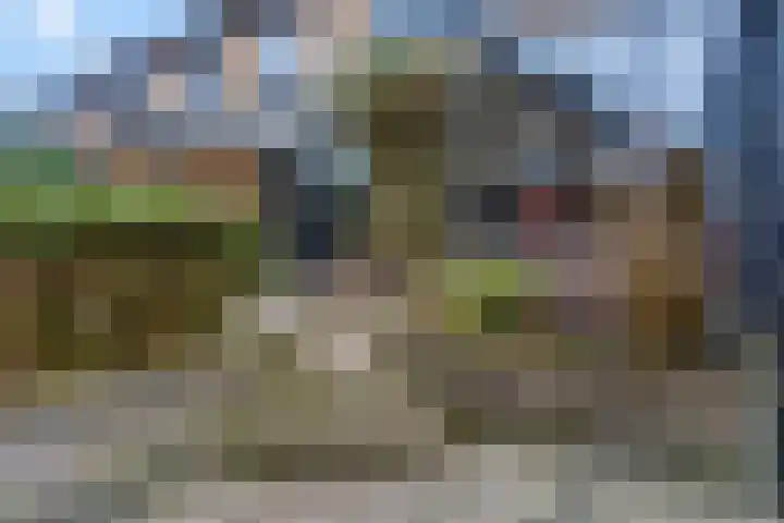 Domineesbergweg 41 Rhenen thumbnail 39