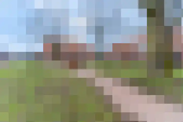 Domineesbergweg 41 Rhenen thumbnail 45