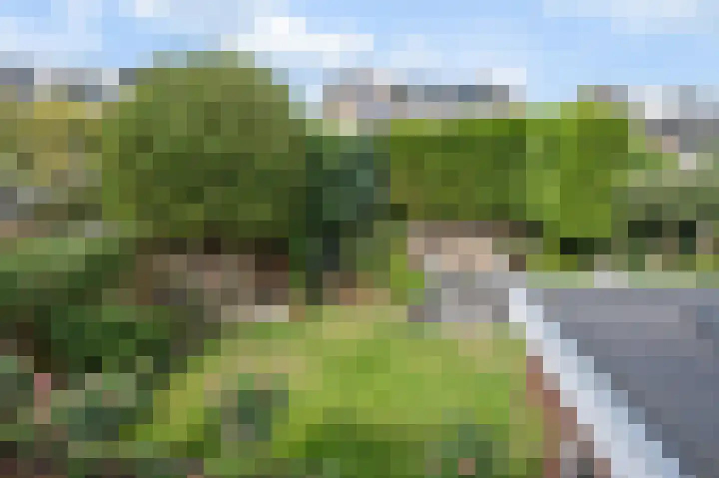 Domineesbergweg 81 Rhenen thumbnail 28
